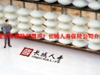 长城人寿保险可靠吗？长城人寿保险公司介绍