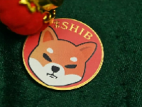 FLOKI币最新消息 Floki Inu 代币飙升 215%