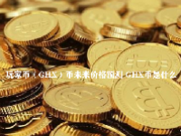 玩家币（GHX）币未来价格预测 GHX币是什么