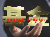 南方隆元基金今日净值是多少？南方隆元(202007)基金净值