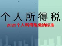 2023个人所得税缴纳标准