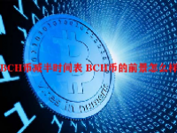 BCH币减半时间表 BCH币的前景怎么样？