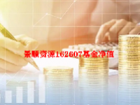 景顺资源162607基金净值 景顺资源基金的净值是多少