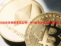 WOM币未来前景怎么样？WOM币历史价格走势怎么样？