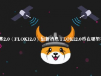 弗洛基2.0（FLOKI2.0）最新消息 FLOKI2.0币在哪里买