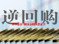 货币基金+国债逆回购怎么买？