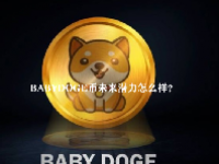 BABYDOGE币未来潜力怎么样？2023BABYDOGE最终燃烧多少？