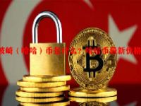波崎（哈哈）币是什么？哈哈币最新价格