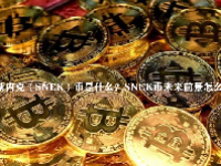 斯内克（SNEK）币是什么？SNEK币未来前景怎么样？