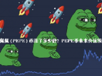 佩佩 (PEPE) 币涨了多少倍？PEPE币未来价值预测