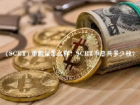  (SCRT) 币前景怎么样？SCRT币总共多少枚？