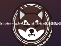 shibarium什么时候上线？shibarium区块链是公链吗？