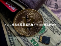 NVIR币未来前景怎么样？NVIR币是什么？