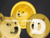 星舰总督（STARSHIPDOGE）币什么？STARSHIPDOGE币值得投资吗？