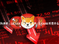 （LEASH）币能投资吗？LEASH币是什么？