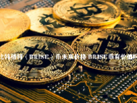 比特格特（BRISE）币未来价格 BRISE币有价值吗