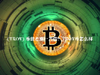 (TROY) 币能否涨一万倍？TROY币怎么样