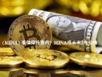  (MINA) 币值得投资吗？MINA币未来3年价格