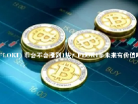  (FLOKI) 币会不会涨到1块？FLOKI币未来有价值吗？