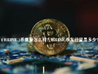 (BRISE)币前景怎么样？BRISE币发行量是多少？