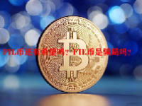 FIL币还有希望吗？FIL币是骗局吗？