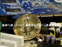 本体气体（ONG）币是什么？ONG币未来价格