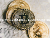 冠军(BNANA)币最新消息 - BNANA币今日价格行情 - BNANA币发行量