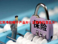 定期寿险哪个产品好？定期寿险怎么买？