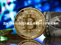 氦气 (HNT)币官方最新消息 HNT币有前景吗