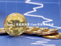 （Flow）币最新消息 Flow币有没有前途