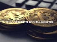 （WOO）币最新价格 WOO币未来前景如何