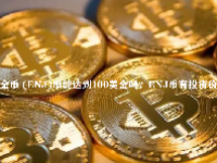 恩金币 (ENJ)币能达到100美金吗？ENJ币有投资价值吗？