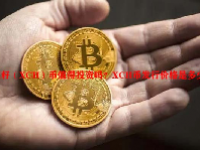 奇亚籽（XCH）币值得投资吗？XCH币发行价格是多少？