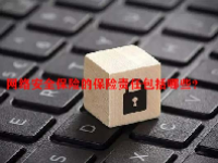 网络安全保险的保险责任包括哪些？