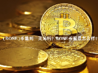 (ROSE)币能到一美元吗？ROSE币前景怎么样？