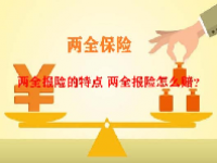两全报险的特点 两全报险怎么赔？