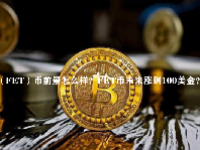 （FET）币前景怎么样？FET币未来涨到100美金？