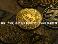 金星 (XVS) 币适合长期持有吗？XVS币未来价值