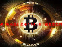 MUSK币是什么币？MUSK币前景怎么样？