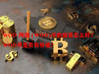 WOO 网络 (WOO)币的前景怎么样？WOO币是否有价值？
