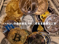 (SALT)币最新消息 SALT币未来前景怎么样