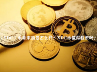 （XDC）币未来前景怎么样？XDC币值得投资吗？