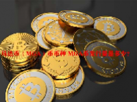 马达币（MGA）币币种 MGA币发行量是多少？