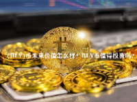 (BLY)币未来价值怎么样？BLY币值得投资吗？