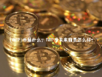 (BIP)币是什么？BIP币未来前景怎么样？