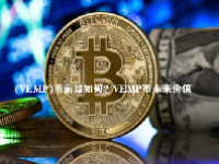 (VEMP)币前景如何？VEMP币未来价值