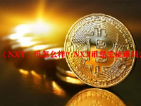 （NXT）币怎么样？NXT币是主流币吗？