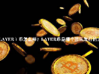 （LAYER）币怎么样？LAYER币是哪个团队发行的？
