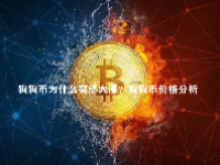 狗狗币为什么突然大涨？狗狗币价格分析