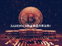 BABYDOGE币未来潜力怎么样？BABYDOGE币创始人是谁？